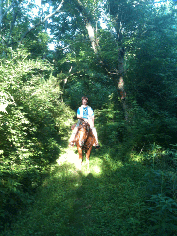 Tips for Riding on Small Properties promo image