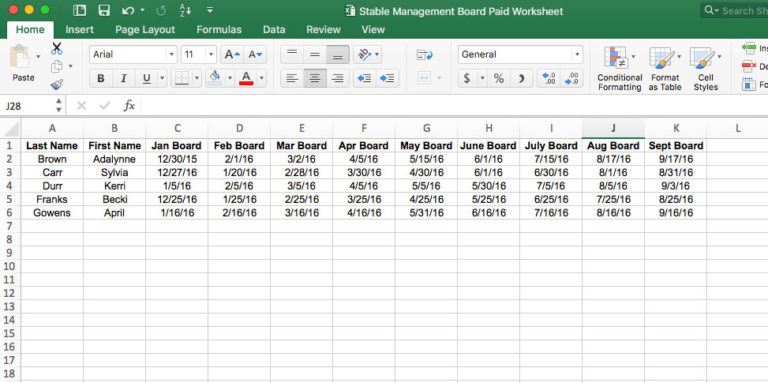 Tips for Stable Owners on Creating a Spreadsheet promo image