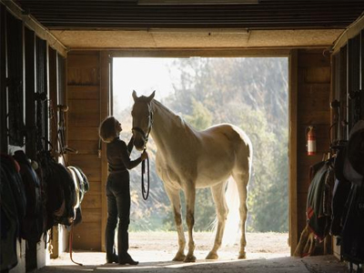 Tips to Provide Good Barn Lighting promo image