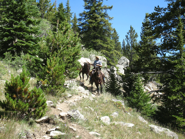 Trail Building Class Announced by Kentucky Horse Council promo image