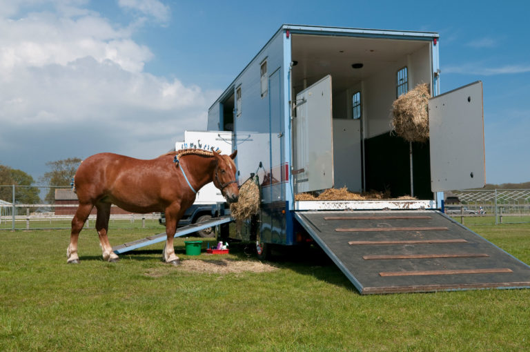 trailer-horse-back-ramp-iStock-178141222-2400