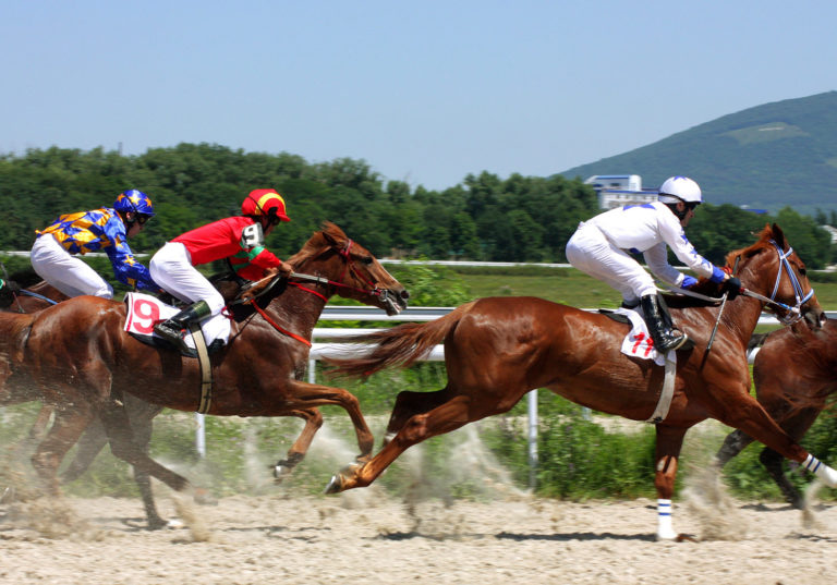 UC Davis on Stem Cell Therapy in Horses promo image