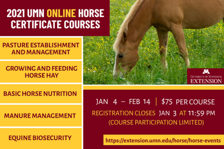 UMN-2021-horse-courses-1200