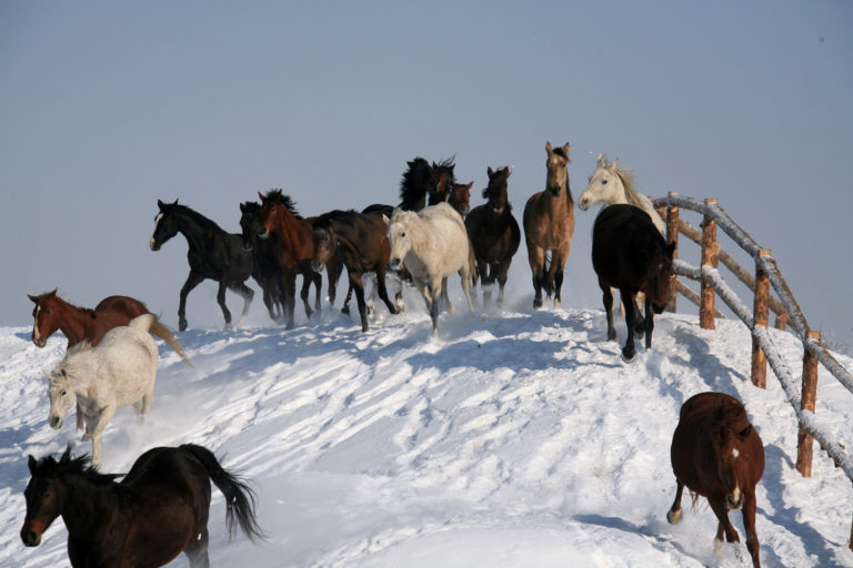 USDA 2012 Census of Ag Available promo image
