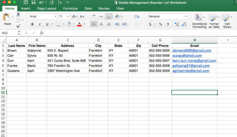 Using Excel for Equine Business List Management promo image
