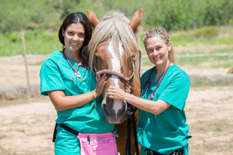 vet-tech-women-horse-head-iStock-Fotoedu-584204090-2400