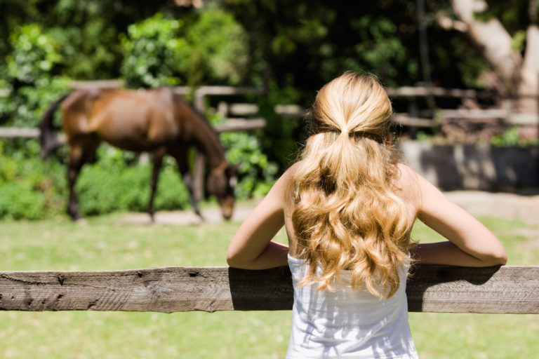 Victory for Horse Industry Outreach! promo image