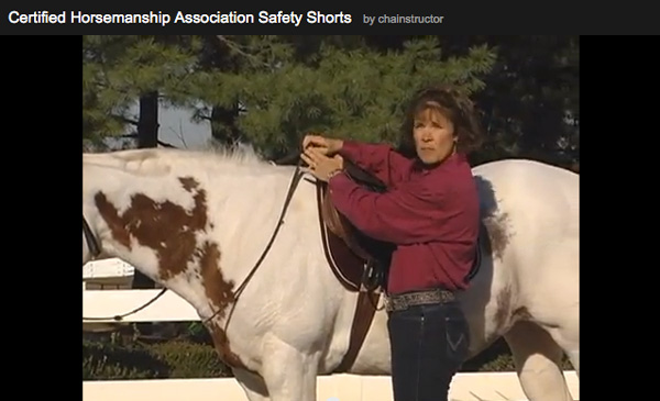 Video: How to Perform a Tack Safety Check on the Horse promo image