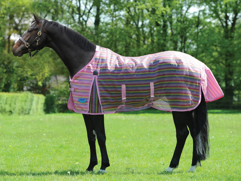WeatherBeeta Unveils Ripshield Fly Sheets promo image