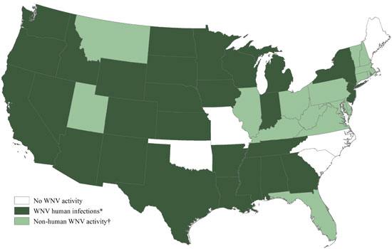 West Nile Virus 2013; Are Your Horses Protected? promo image