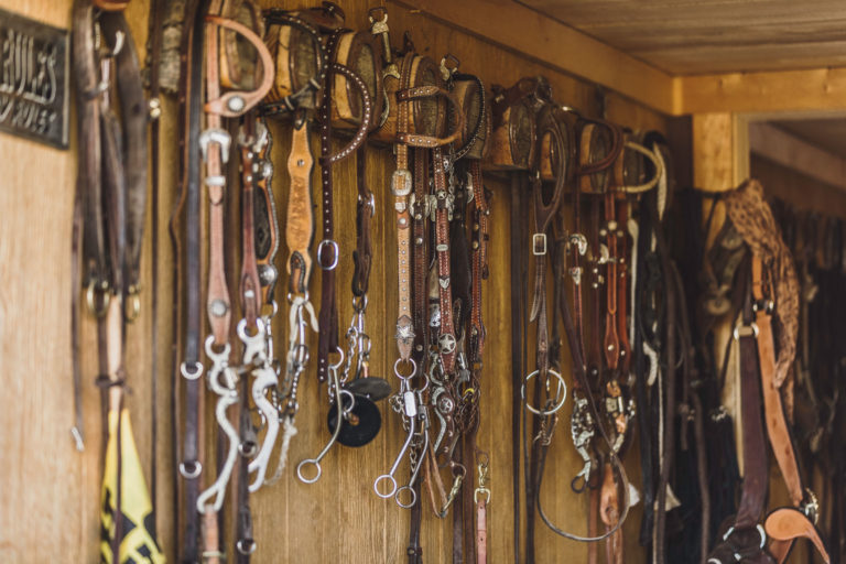 western-bridles-tack-room-neat-iStock-credit Jason Doly-1006402142-2400