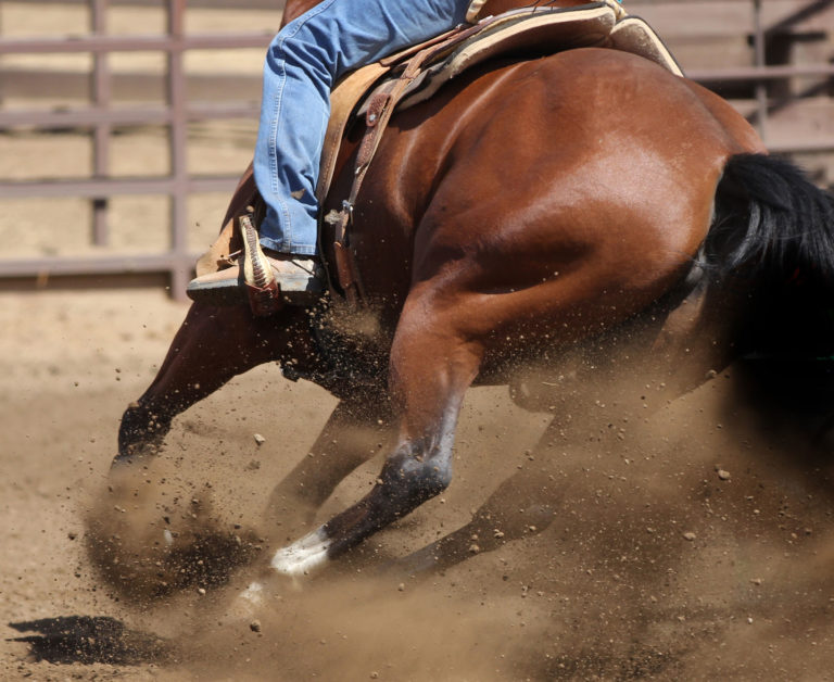 Western-horse-turning-hind-end-stifle-iStock-Custo-Photography-Designs-524085857-2400