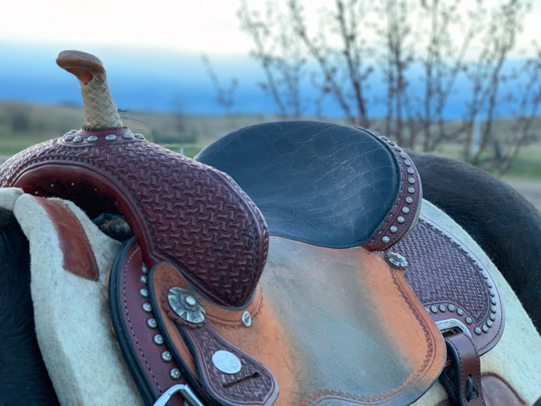 western-saddle-pad-closeup-iStock-Brittany-Schauer-Photography-1166383484-2400