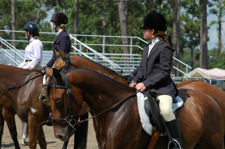 What Horse Owners Should Know About EHV-1 promo image