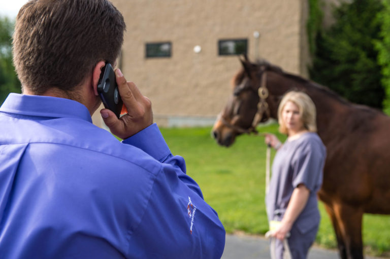 When to Use Analgesic in Horses promo image