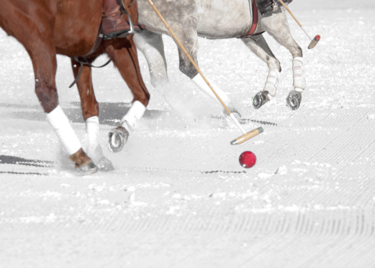 winter-polo-horse-legs-iStock-Kelly-Hall-95515117-2400