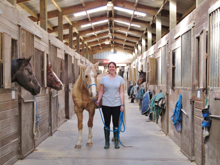 woman-barn-aisle-leading-horse-iStock-484918244-2400