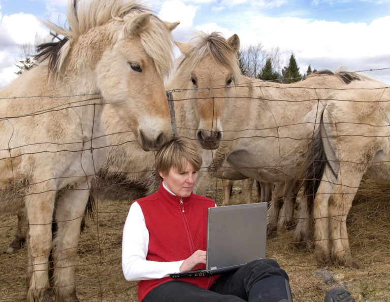 woman-computer-horses-02717004-2400