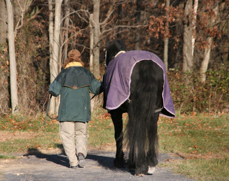 woman-leading-horse-from-back-2400