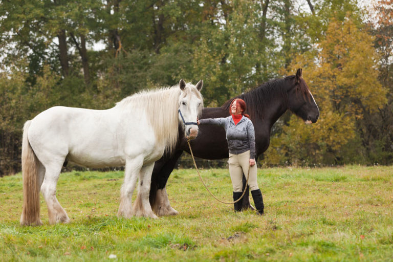 woman-shire-horses-field-iStock-Horse-Family-109145491-1000