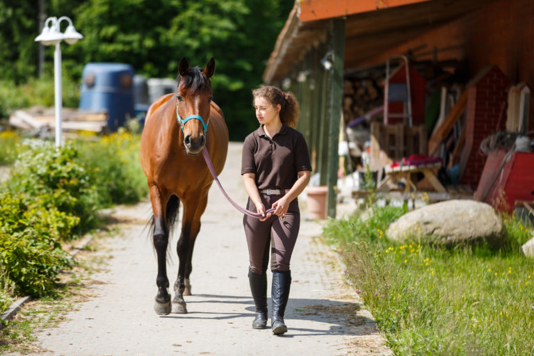woman-young-leading-horse-stable-iStock-800309910-2400
