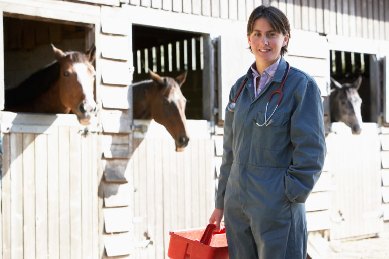 Working With Your Equine Vet promo image