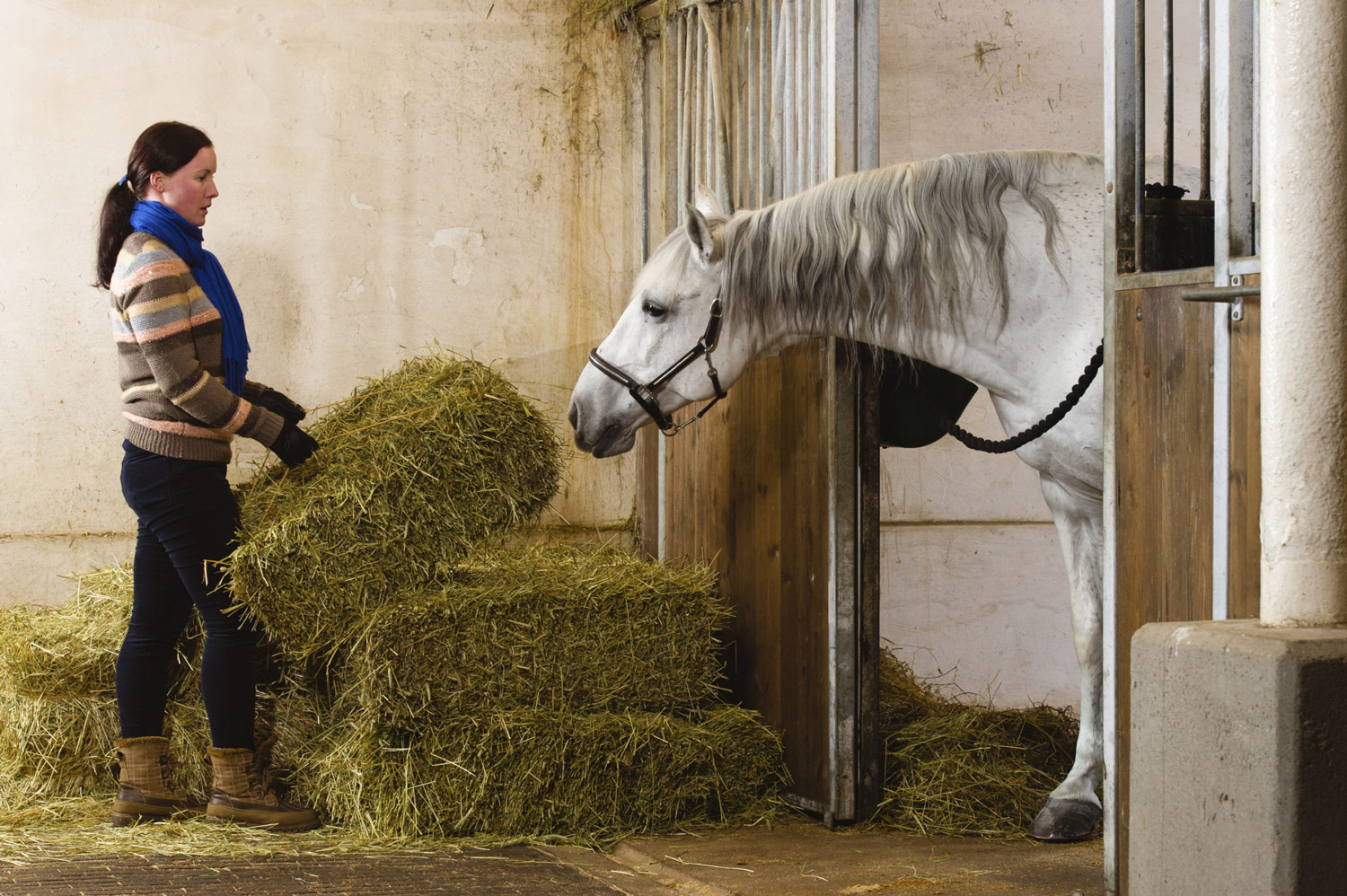 How to Formulate a Balanced Diet for Your Horse | Stable Management