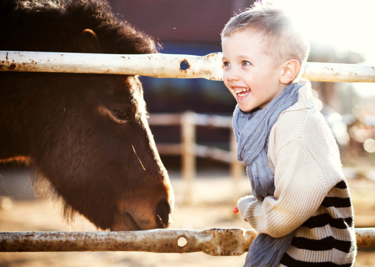 happy-boy-pony-background-fence-GettyImages-487173749-1200