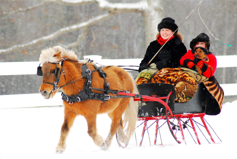 sleigh-snow-mini-iStock-898637144-1200