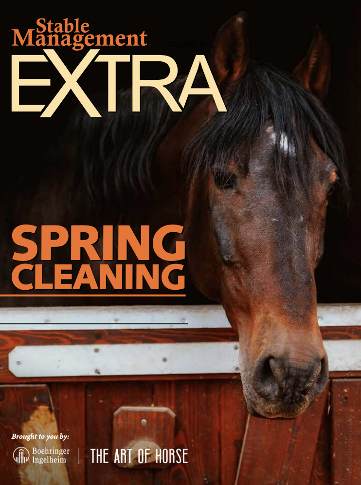 stable management extra volume 12 spring cleaning