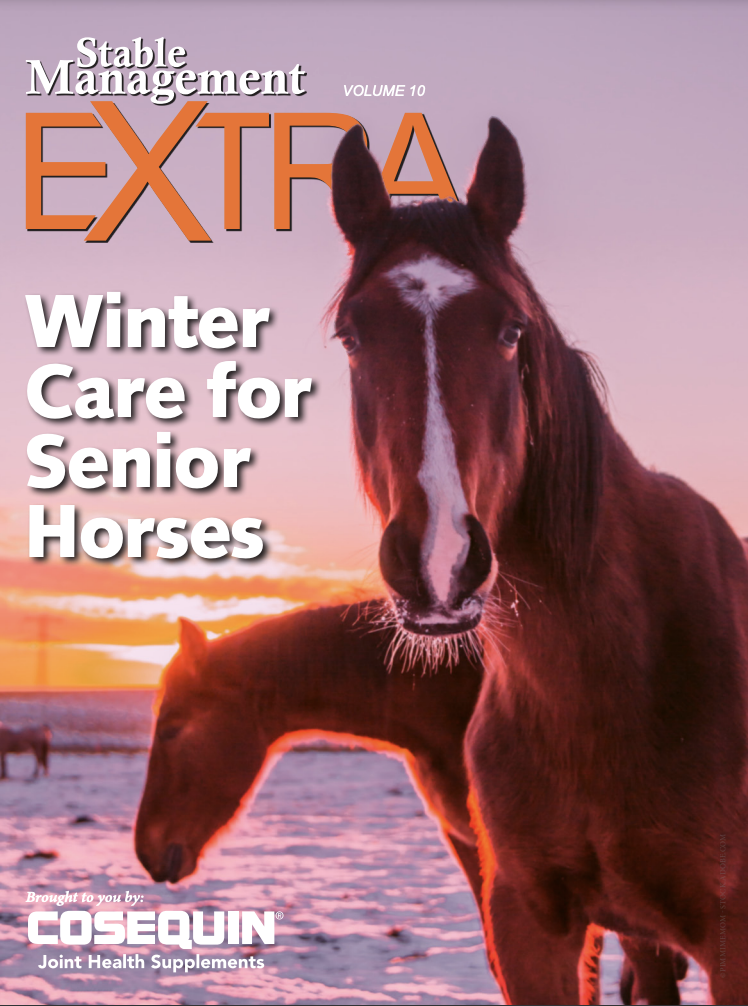 stable management senior horse care winter