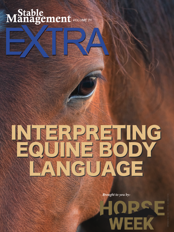 SM-Extra-interpreting-equine-body
