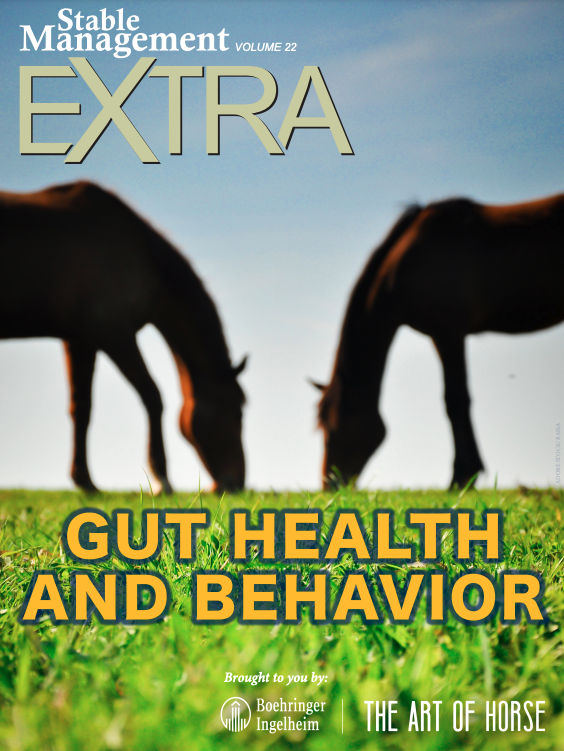Stable-Management-Extra-Gut-Health-and-Horse-Behavior-