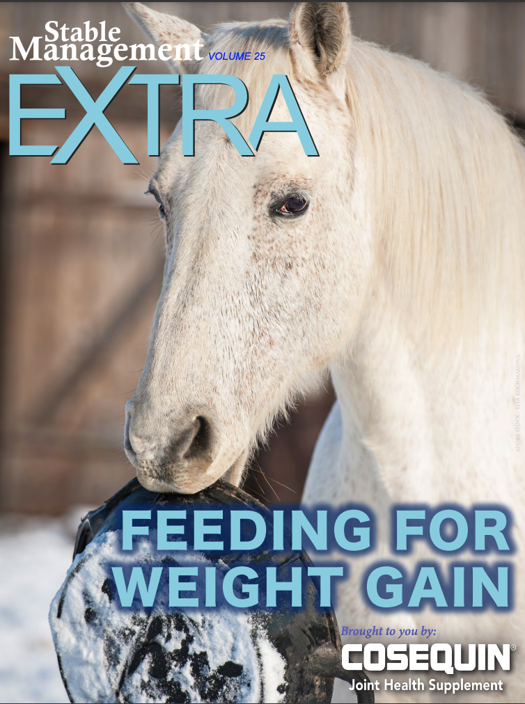 stable-management-feeding-for-weight-gain-