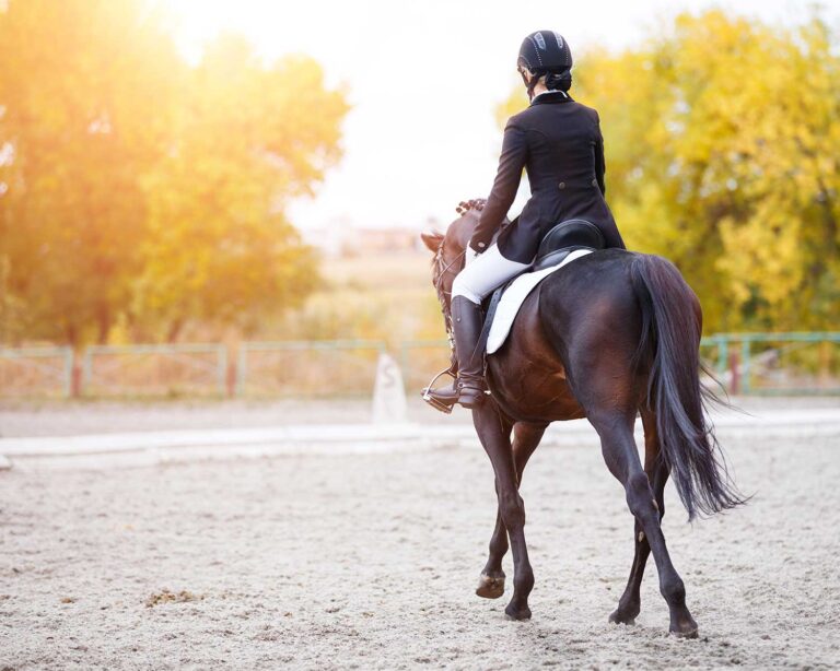 dressage horse and rider