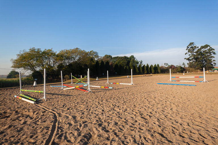 horse riding arena with jumps