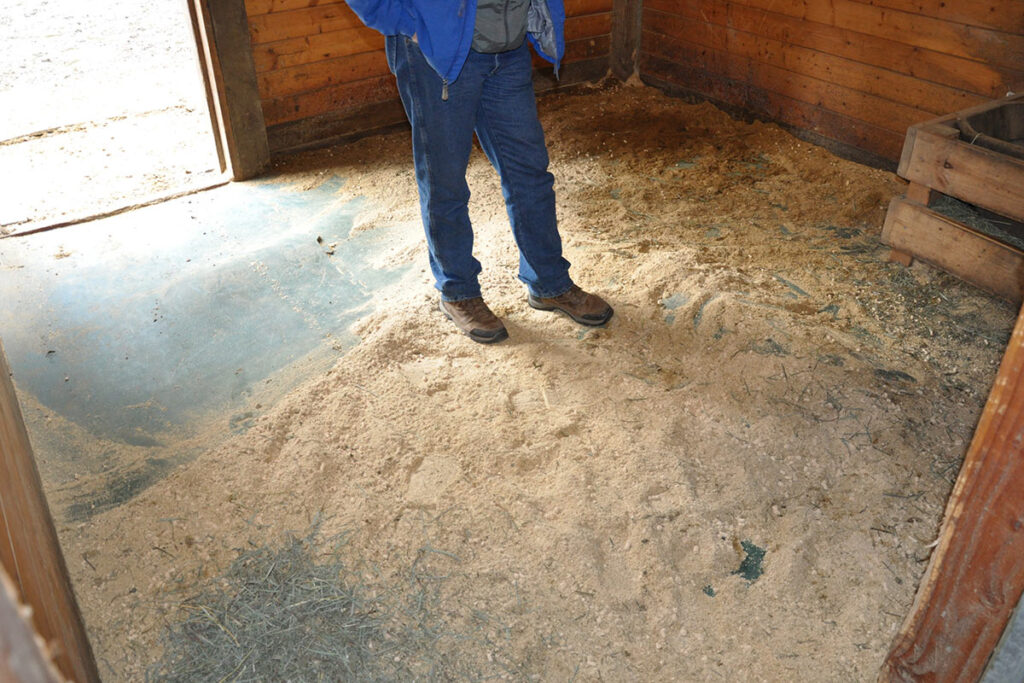 Reducing bedding use has many benefits including saving time and money.
