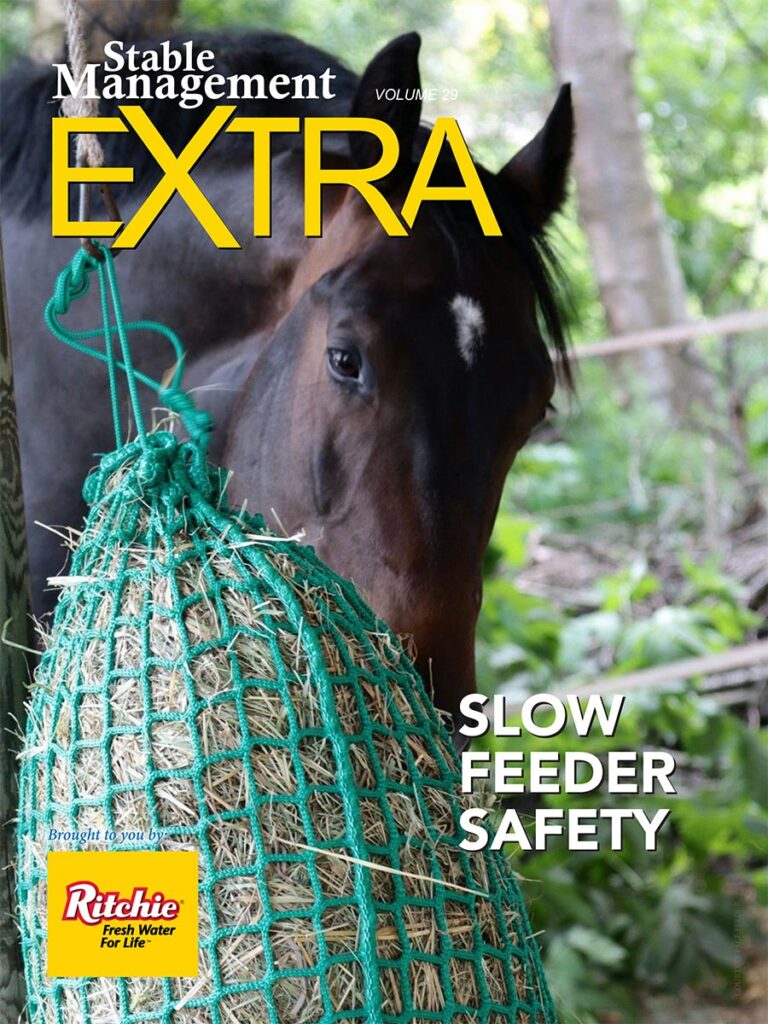 Stable Management Extra: Slow Feeder Safety