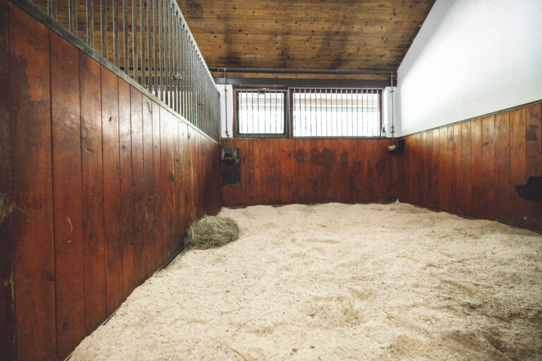 Large clean empty horse stable at the ranch