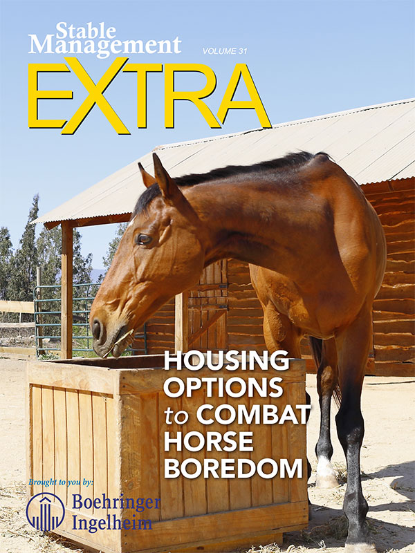 Stable Management Extra: Housing Options to Combat Horse Boredom