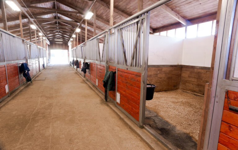 Horse Barn Animal Sport Paddock Equestrian Ranch Racing Stable
