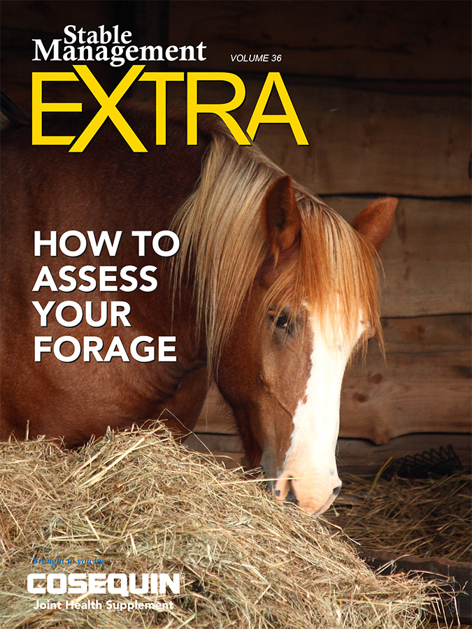 Horse eating hay; how to assess forage