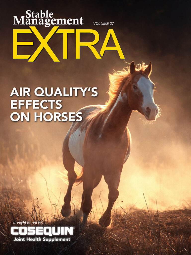 Air Quality's Effects on Horses