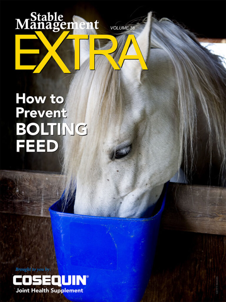Prevent Horses From Bolting Feed