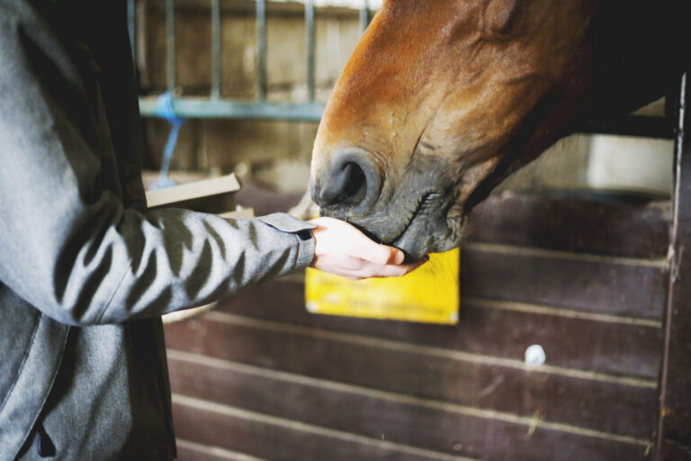 Portrait of a young man with horse