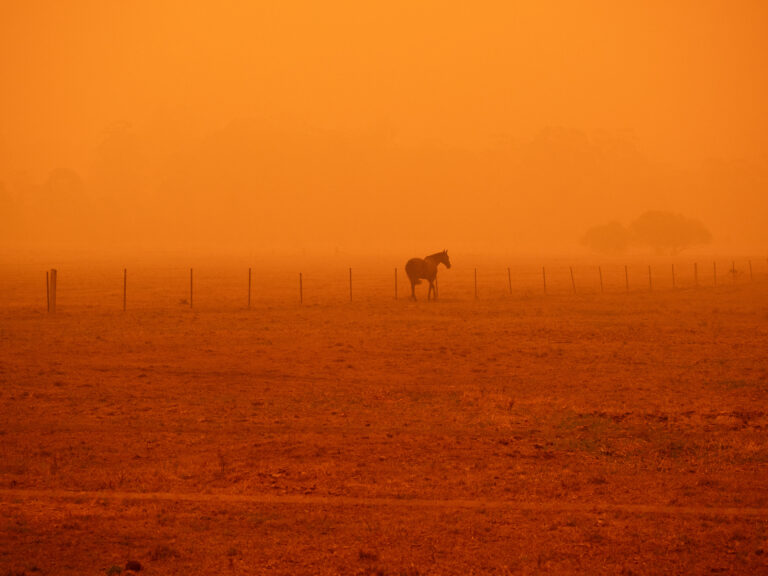 Smoke Haze from Black Summer Bushfires near Merimbula 2019