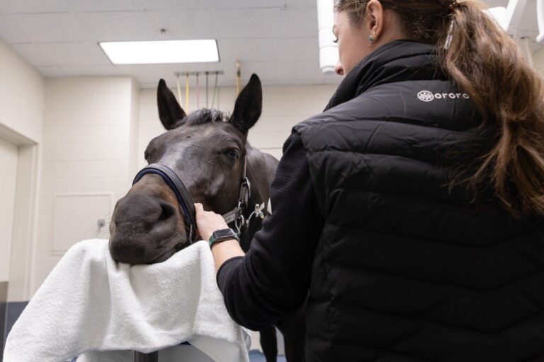 sarcoid treatment